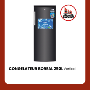 CONGELATEUR VERTICAL BOREAL 250L