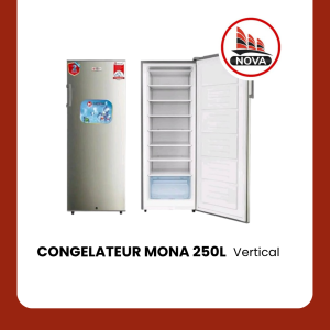 CONGELATEUR VERTICAL MONA 250L